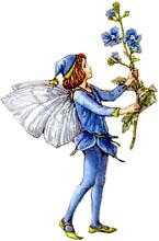 Fairy Picture for a Famous Fairy Tale